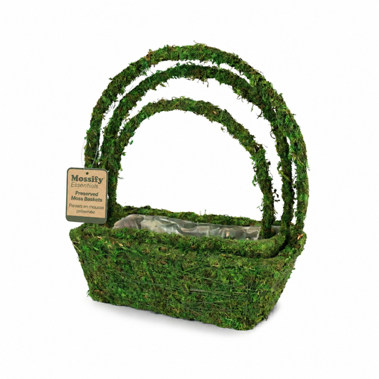 Rectangular Moss Basket (Set of 3)