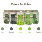 Premium Preserved Reindeer Moss - Mossify