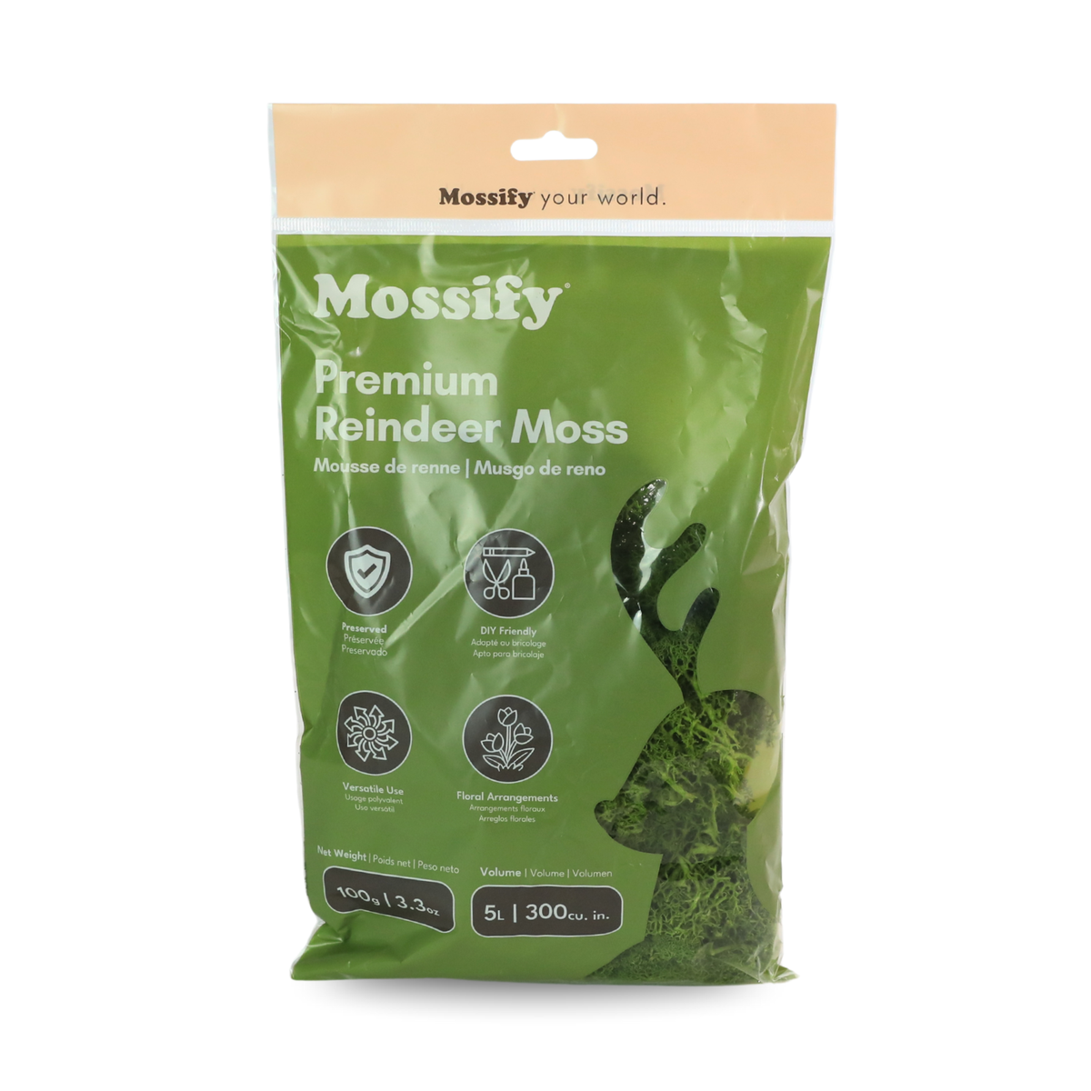 Mossify Premium Reindeer Moss 100 g bag in Kiwi