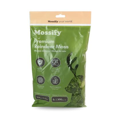 Mossify Premium Reindeer Moss 100 g bag in Kiwi