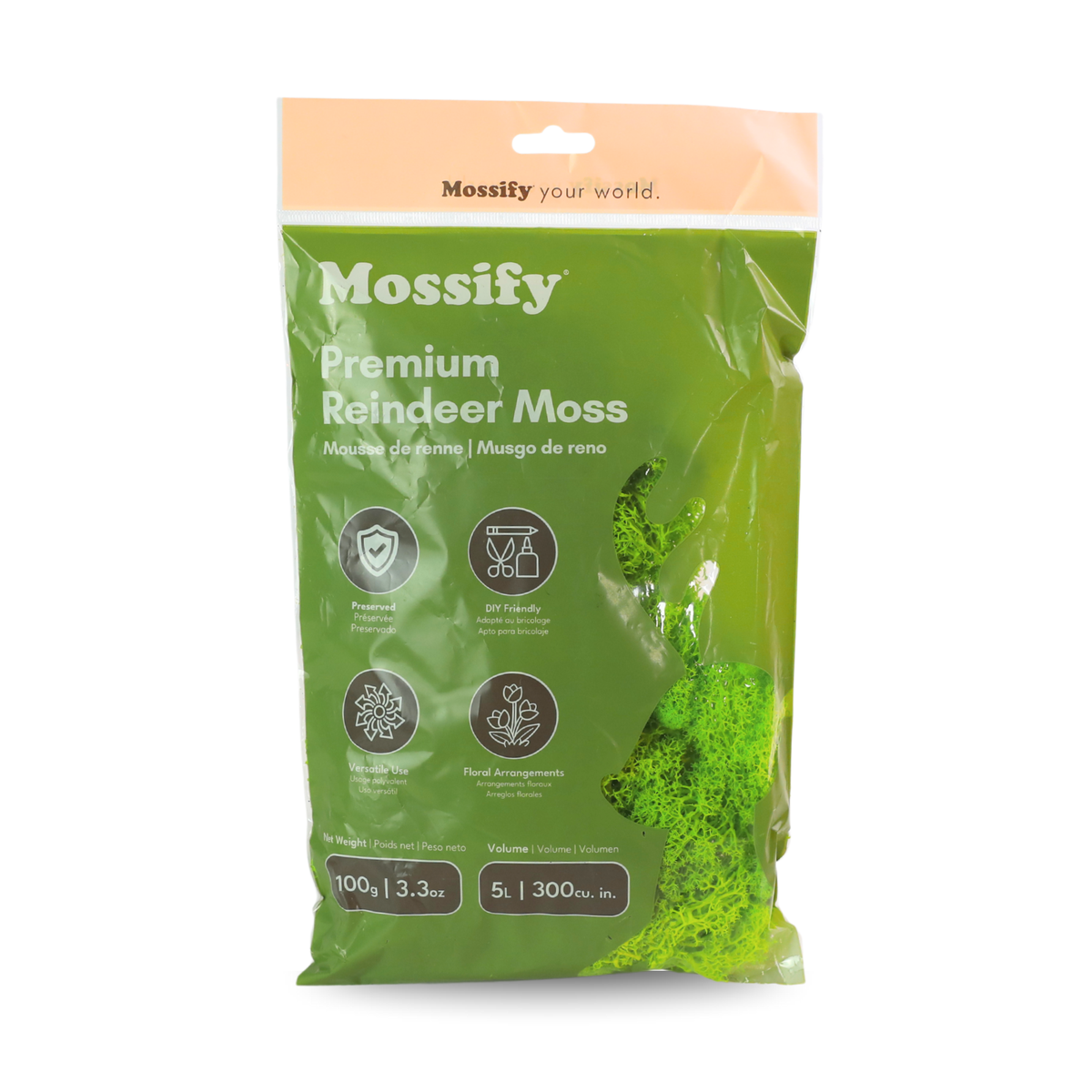 Mossify Premium Reindeer Moss 100 g bag in Lime