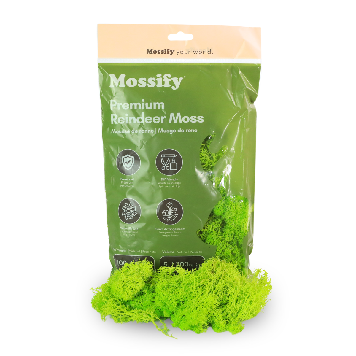 Mossify Premium Reindeer Moss bag in Lime