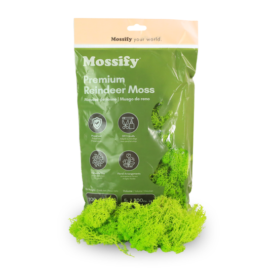 Mossify Premium Reindeer Moss bag in Lime