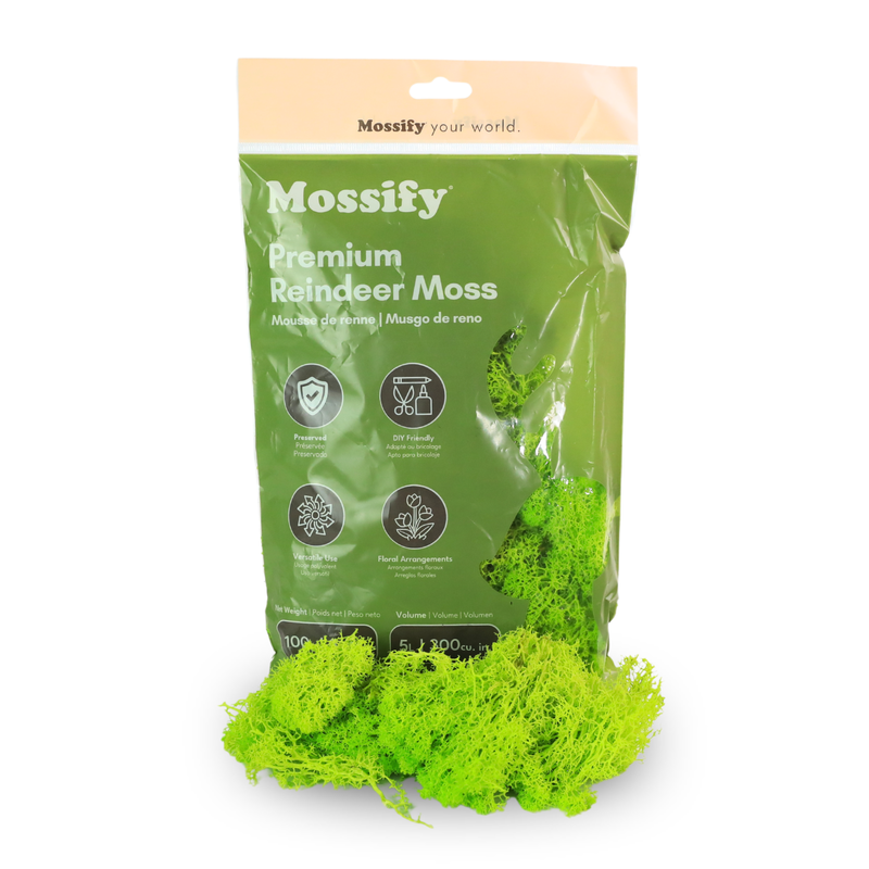 Premium Reindeer Moss Bag (100g & 250g) - NEW!
