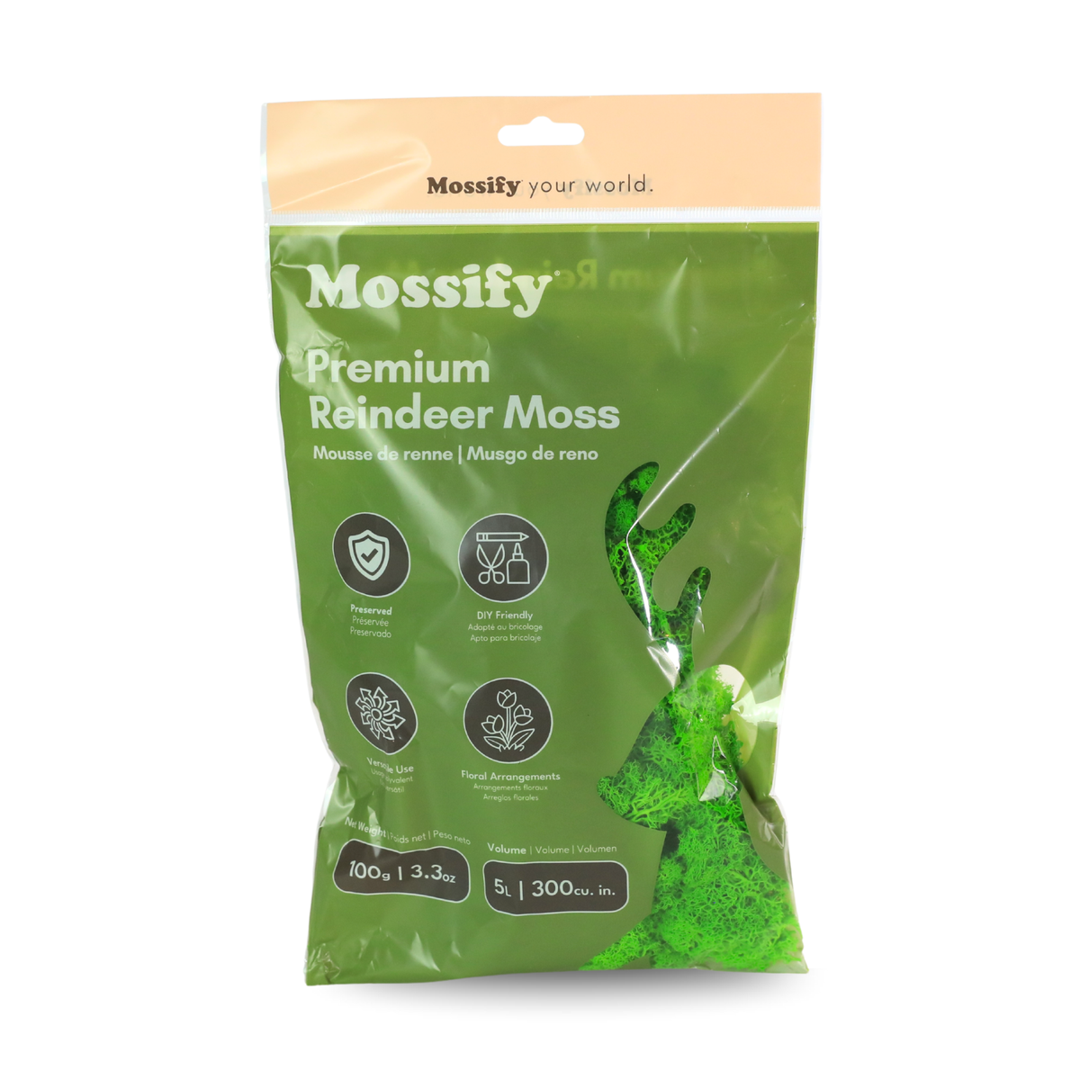 Mossify Premium Reindeer Moss 100 g bag in Mint