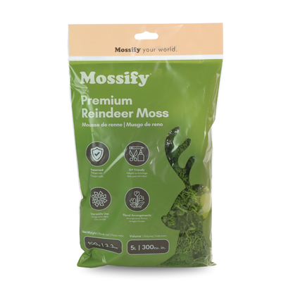 Mossify Premium Reindeer Moss 100 g bag in Shamrock
