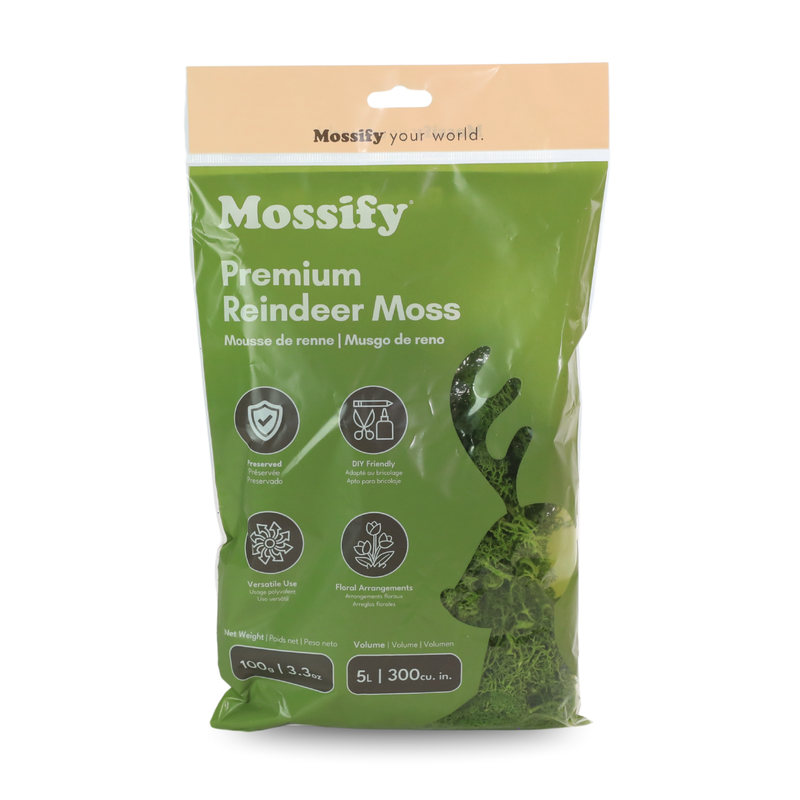 Premium Reindeer Moss Bag (100g & 250g) - NEW!