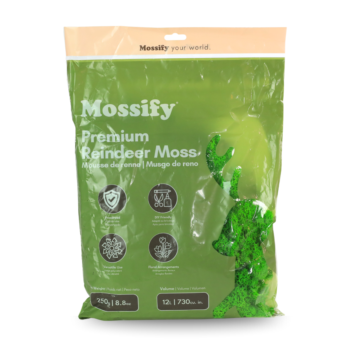 Mossify Premium Reindeer Moss 250 g bag in Mint