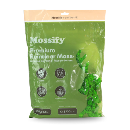 Mossify Premium Reindeer Moss 250 g bag in Mint