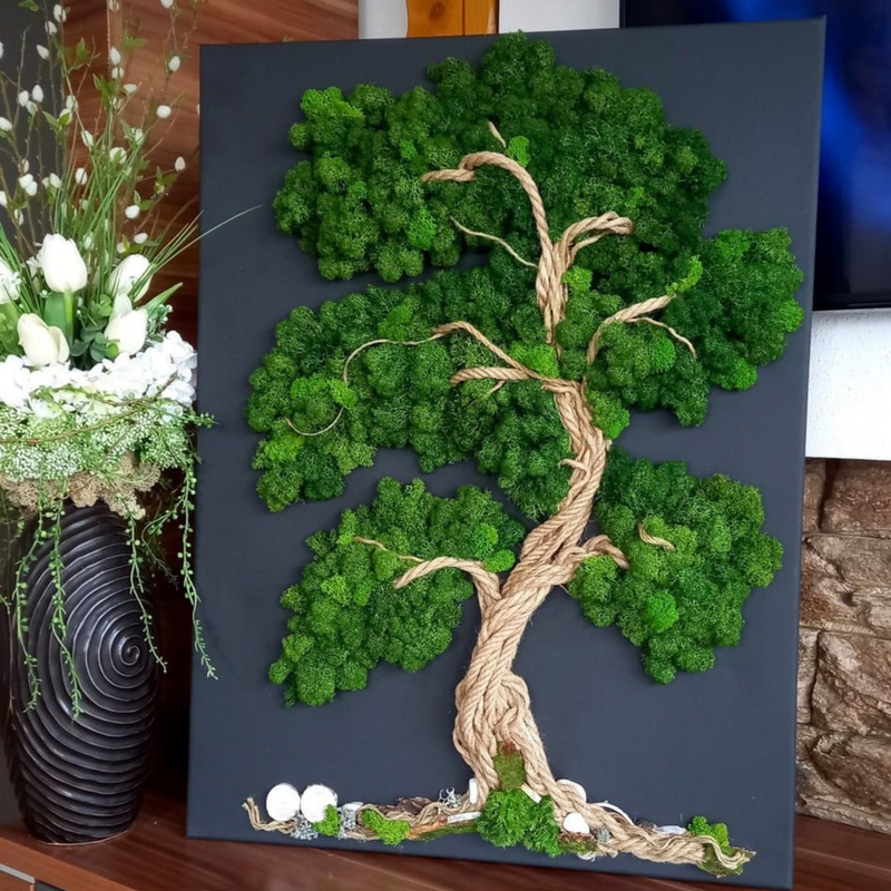 Premium Preserved Reindeer Moss - Mossify
