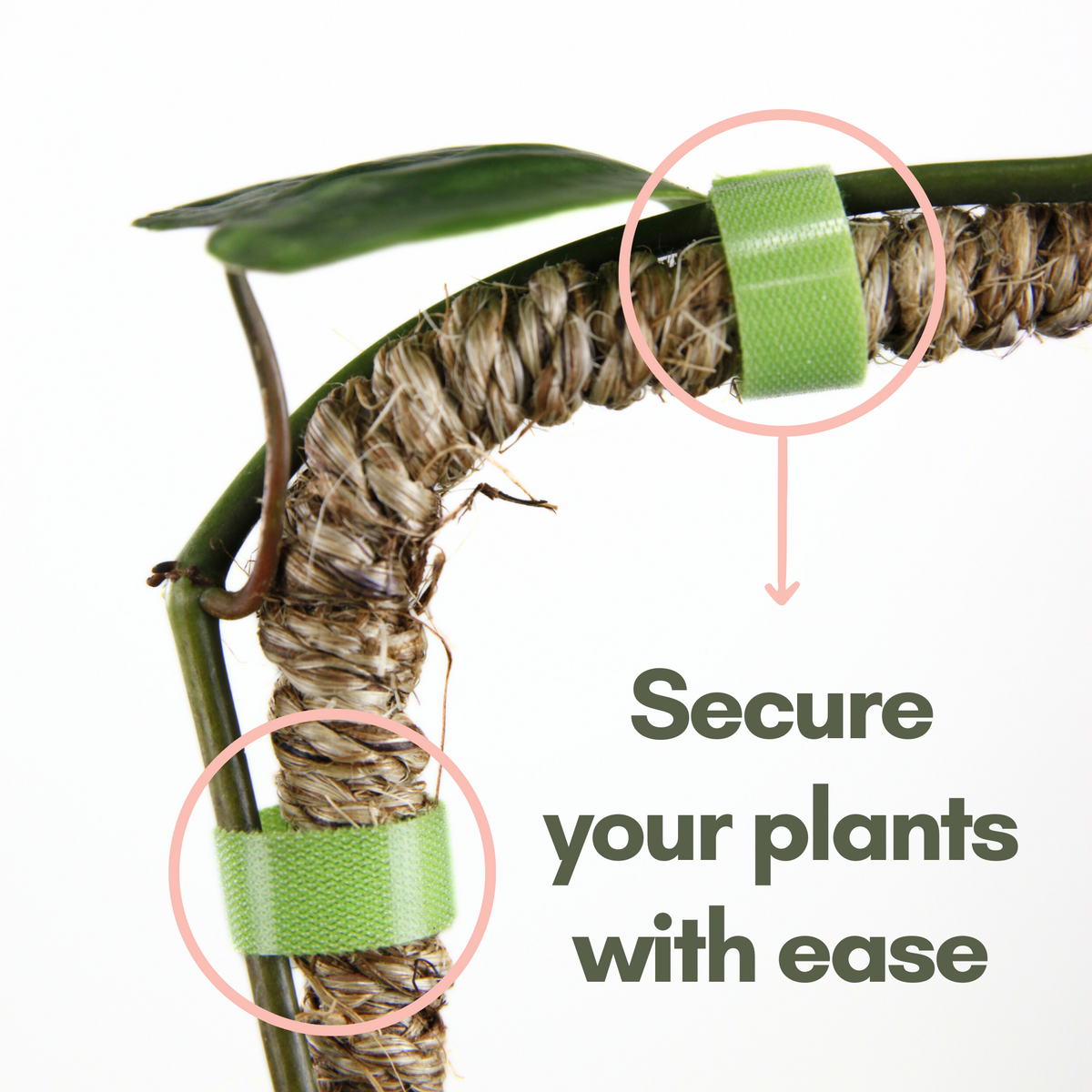 Reusable Plant Tape - Mossify