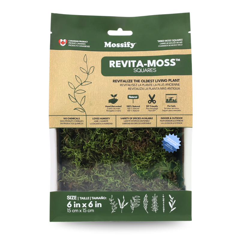 Mossify Revita-Moss squares packaging with green and brown design