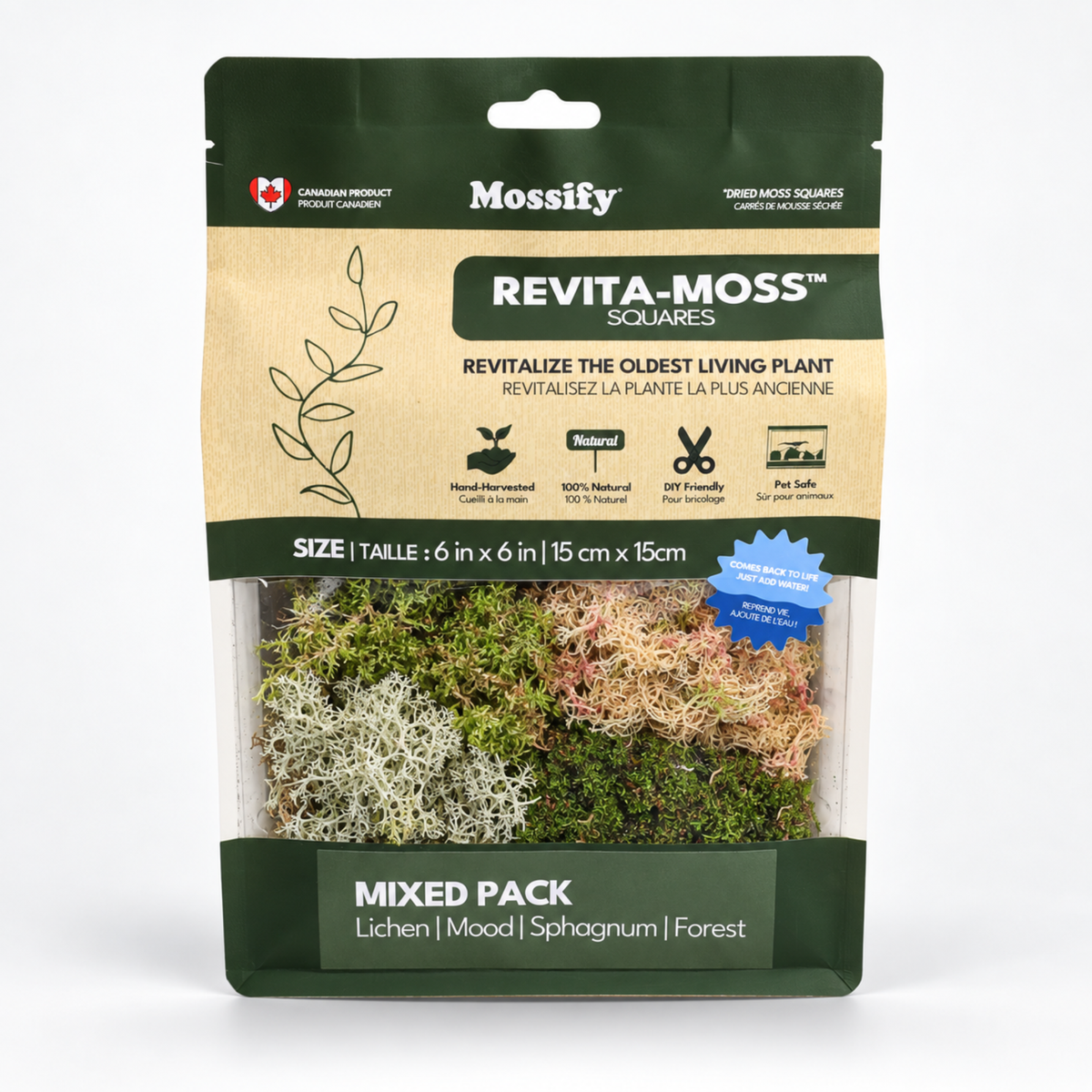Revita-Moss Mixed Pack with lichen, mood, sphagnum and forest moss in one 6 x 6 inch square