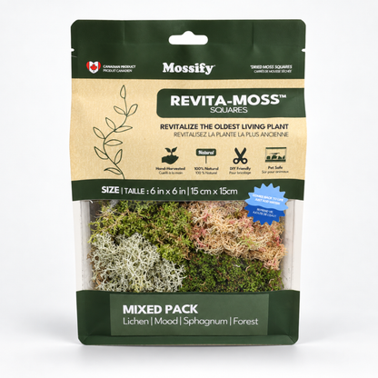 Revita-Moss Mixed Pack with lichen, mood, sphagnum and forest moss in one 6 x 6 inch square