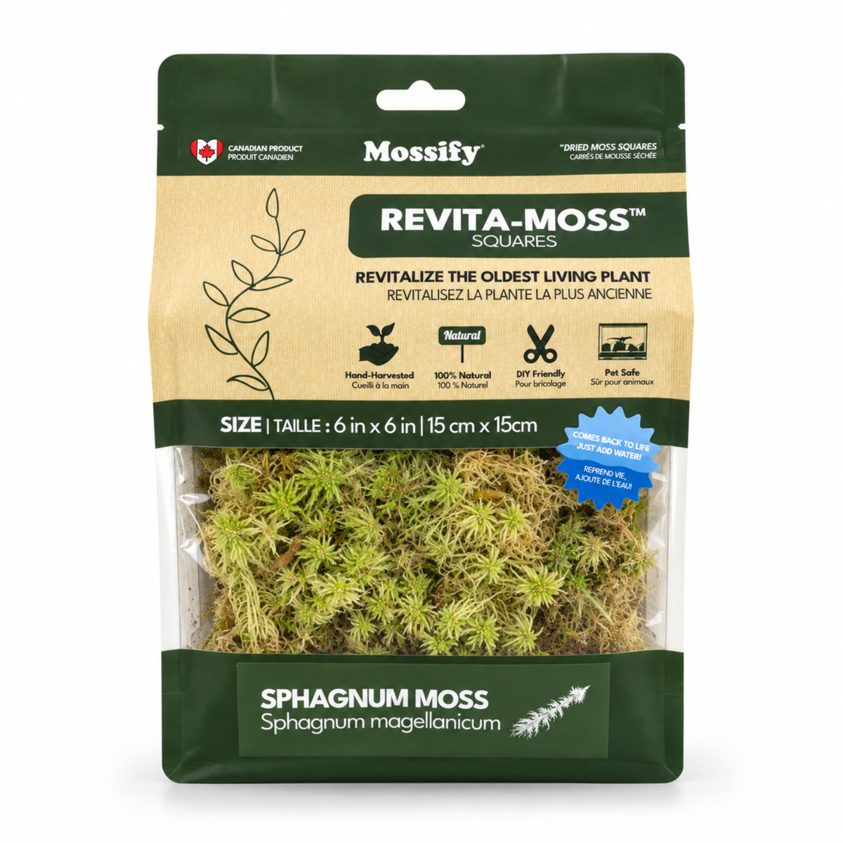 Revita-Moss Canadian Sphagnum Moss (Sphagnum magellanicum) 6 x 6 inch square in its 2026 package