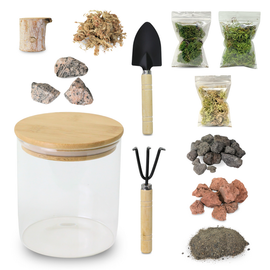 Mossify Terrarium Kit - Mossify