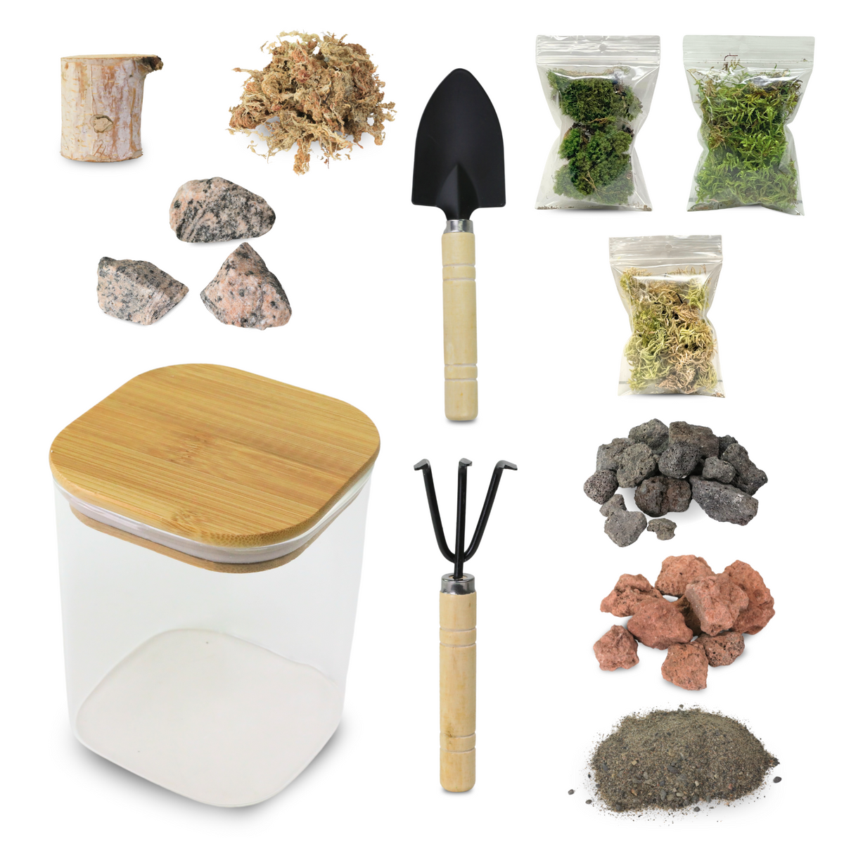 Mossify Terrarium Kit - Mossify