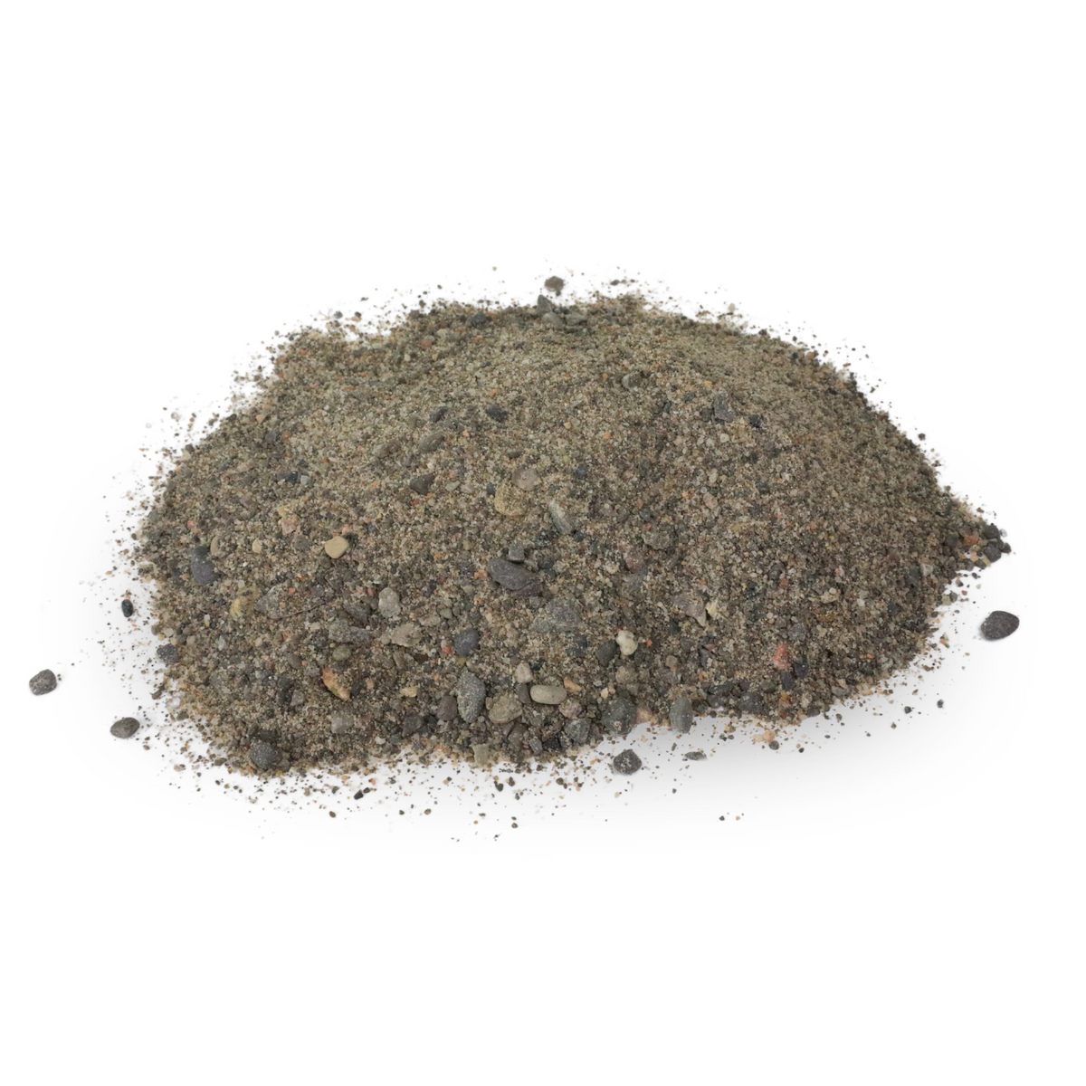 Mossify Terrarium Kit - Mossify