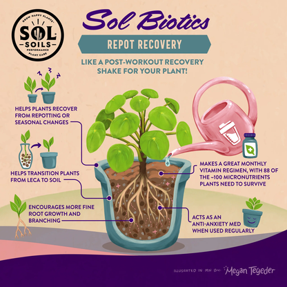 Sol Biotics Repot Recovery Repotting Shock Treatment