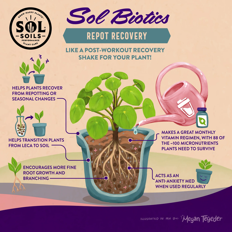 Sol Biotics Repot Recovery Repotting Shock Treatment