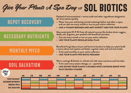 Sol Biotics schedule chart for Repot Recovery, Necessary Nutrients, Monthly Myco and Soil Salvation