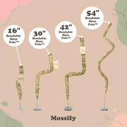 The Original Bendable Moss Pole™ - Best Seller (Pins Included) - Mossify