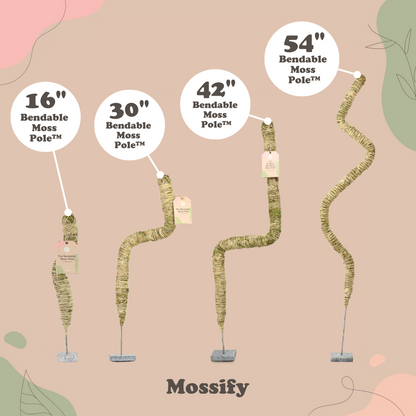 The Original Bendable Moss Pole™ - Best Seller (Pins Included) - Mossify