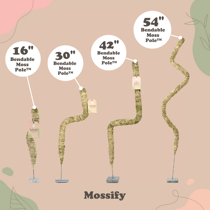 The Original Bendable Moss Pole™ - Best Seller (Pins Included)