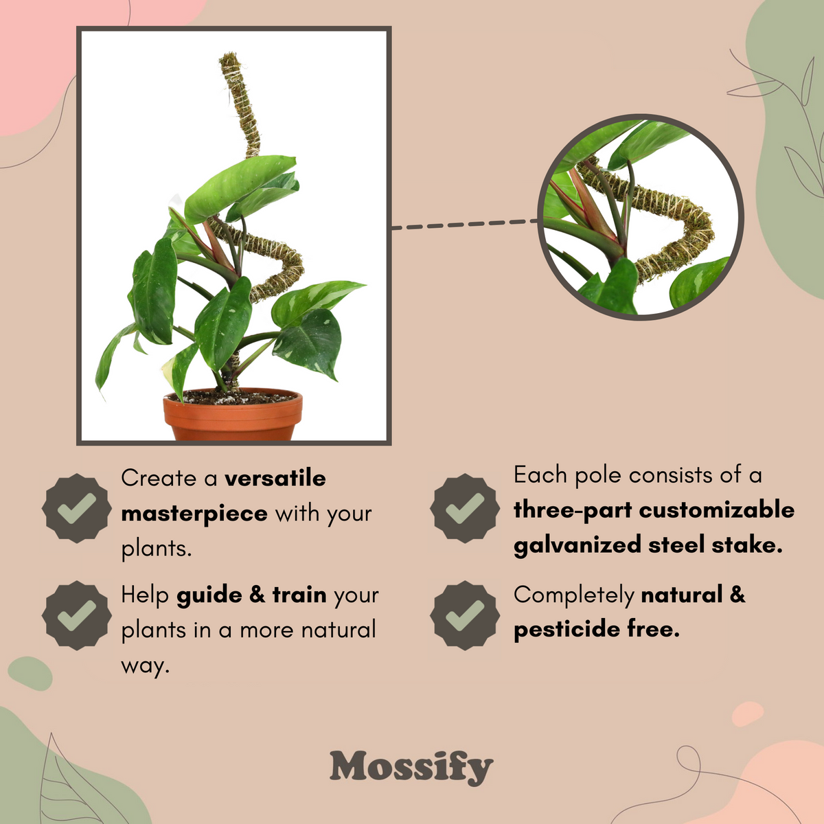 The Bendable Moss Pole™ THIN - Ultimate Starter Pack - Mossify