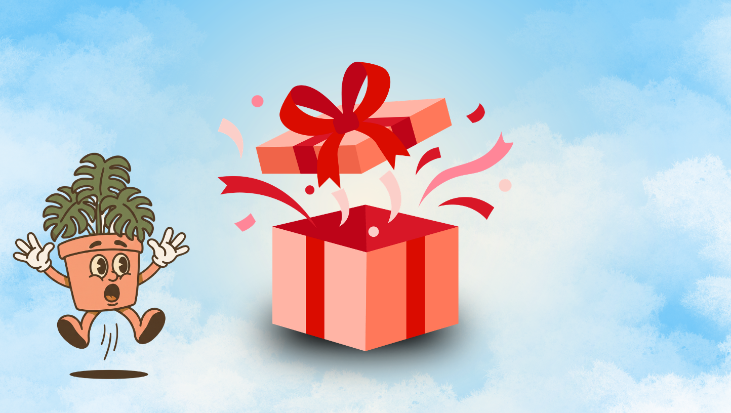 Cadeau gratuit de plus de 200 $.