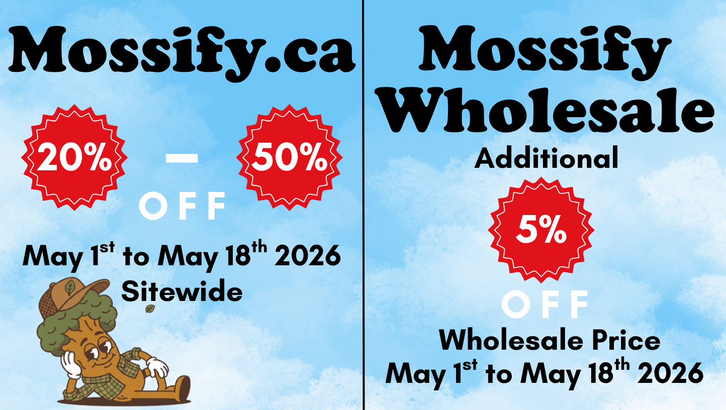 Économisez et célébrez !