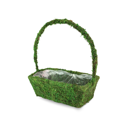 Rectangular Moss Basket (Set of 3)
