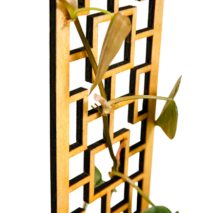 Close-up of the Tropical Squares wooden trellis with a climbing vine