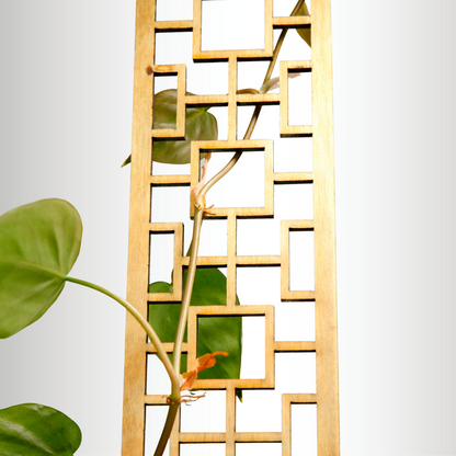 Natural wood Tropical Squares trellis supporting a philodendron vine