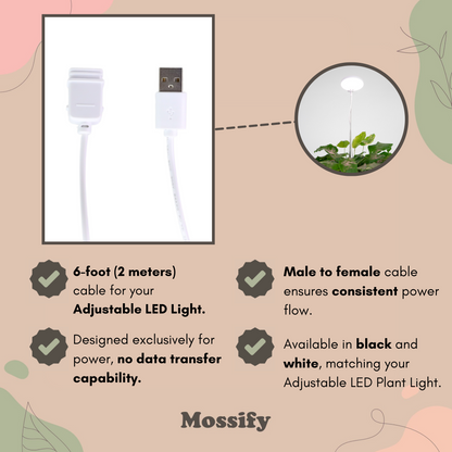6' USB 2.0 Power Extension Cord - Mossify