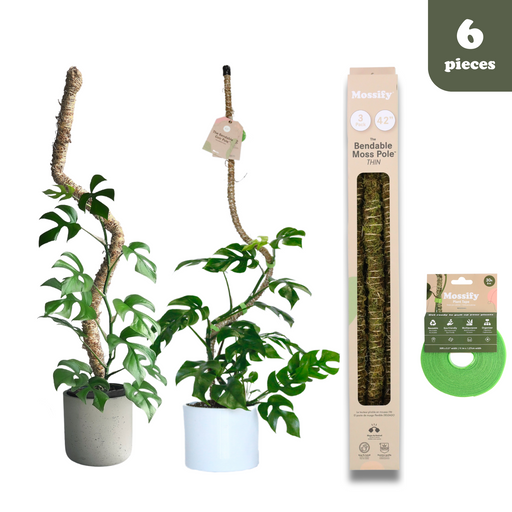 Ultimate Bendable Plant Support Pack - Mossify