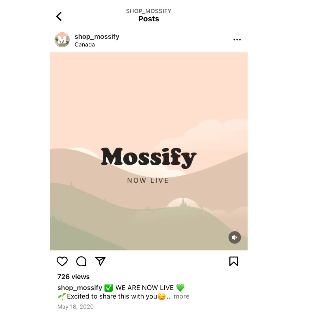 Mossify is born.