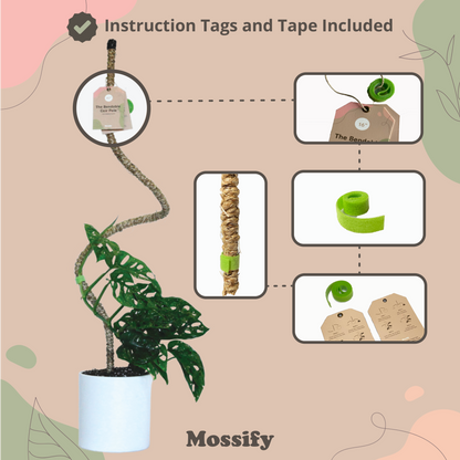 6 Count - Mossify Pole Lover Package Deal - Mossify
