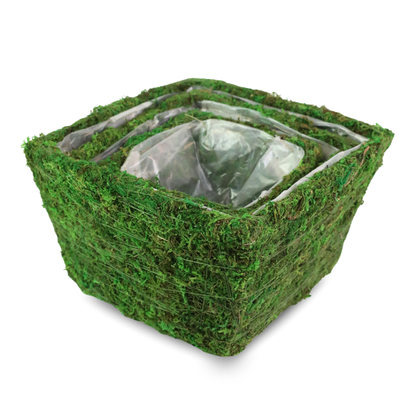 Rustic Square Moss Planter (Set of 3)