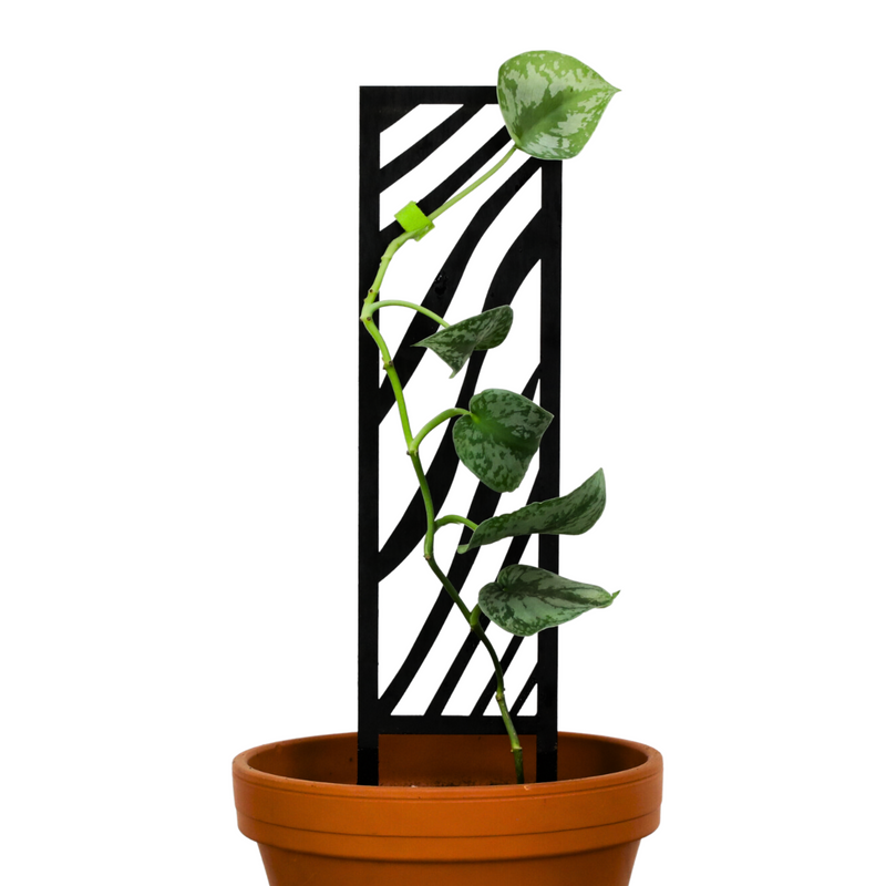 Zebra Wooden Trellis - Mossify