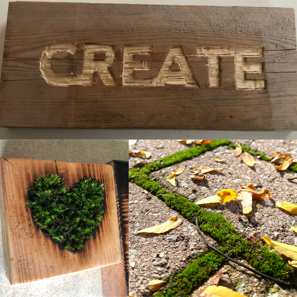An idea was born