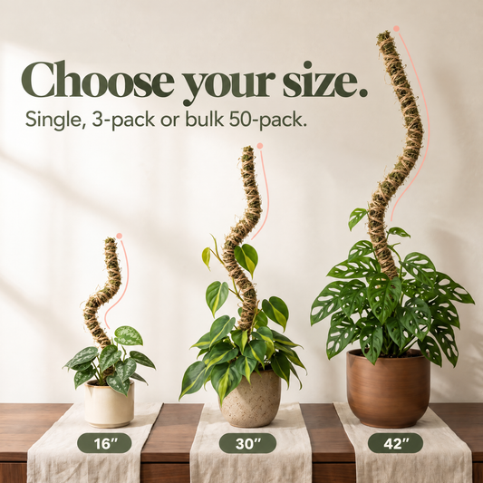 The Bendable Moss Pole™ THIN