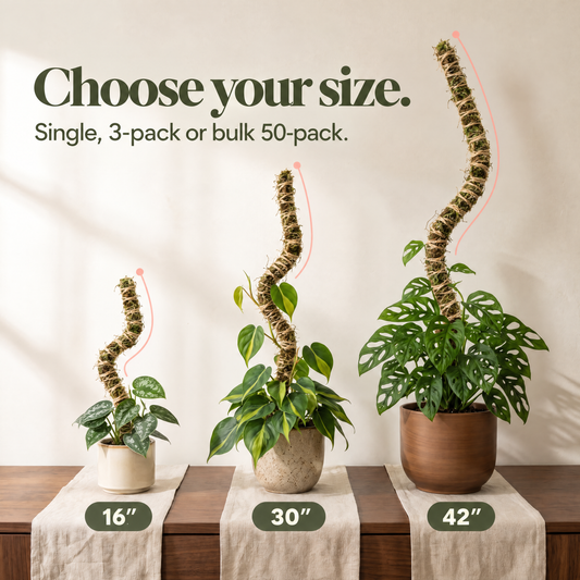 The Bendable Moss Pole™ THIN