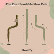 The Original Bendable Moss Pole™ - Ultimate Starter Pack - Mossify