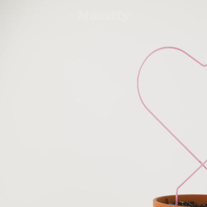 Pack Bundle « Donner de l'amour »
