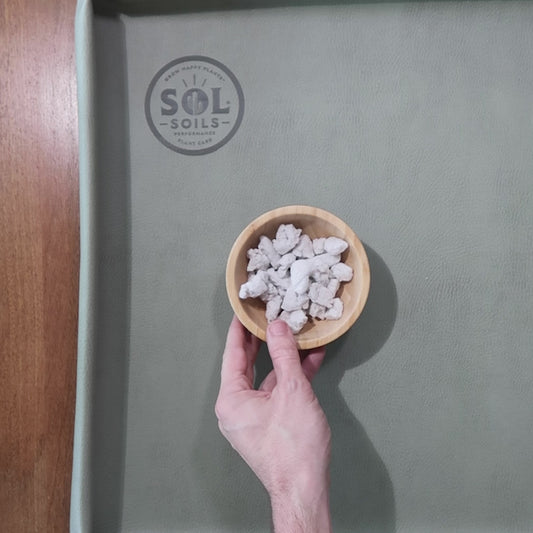 Sol Soils Chunky Perlite Soil - Amendment for Aroids, Orchids & Custom Mixes