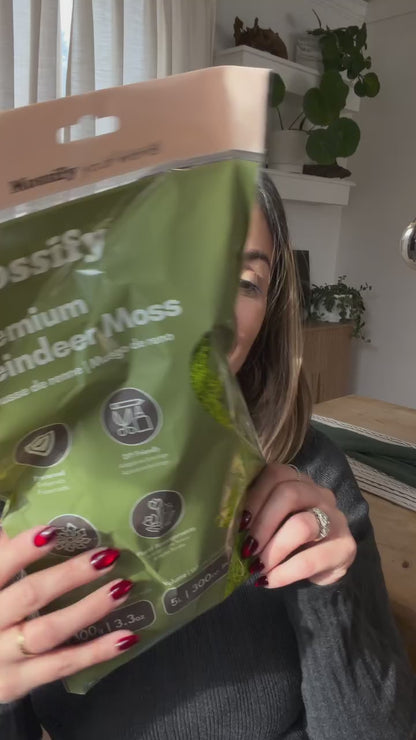 Premium Reindeer Moss Bag