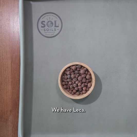 Sol Soils LECA Balls - For Propagation, Hydroponics & Pot Drainage