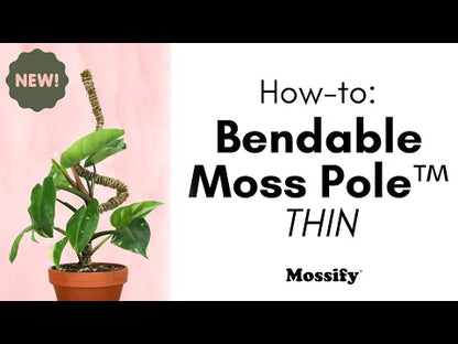 The Bendable Moss Pole™ 𝘛𝘏𝘐𝘕