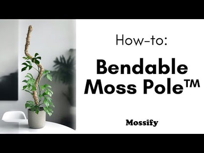 The Original Bendable Moss Pole™ - Best Seller (Pins Included)